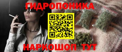 дмт Бийск