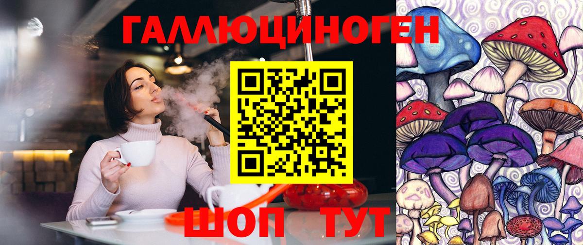 Псилоцибиновые грибы Magic Shrooms  Вход с VPN  Зеленодольск  Псилоцибиновые грибы Psilocybe 